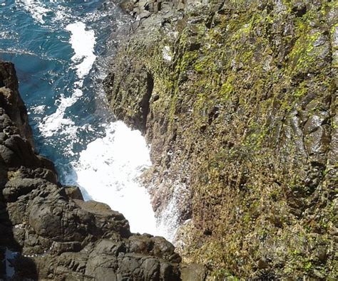 The 15 Best Things To Do In Ensenada Municipality 2025