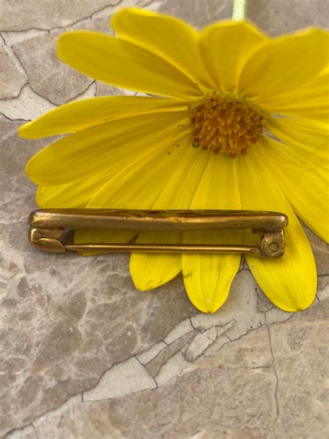 Antique Victorian Lingerie Pin Bar Pin Mourning Bro Gem