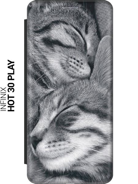 Чехол книжка на Infinix Hot 30 Play Инфиникс Хот 30 Плей c принтом Милующиеся котики черный