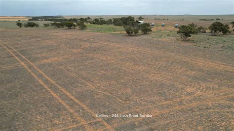 Mixed farming opportunity in SA's Murray-Mallee farming district ...