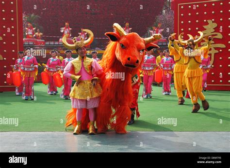 The Dance Ensemble In Dazzling Costumes Stock Photo Alamy