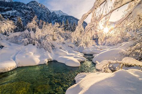 Baggrunde Naturligt Lys Natur Vand D De Tr Er Sol Sne Skov