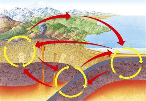 Geological rock cycle, diagram Photograph by Science Photo Library