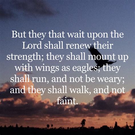 Isaiah 40 31 But They That Wait Upon The Lord Shall Renew Their