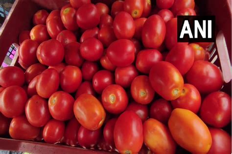 Tomato Prices Hikes Up To Rs 150 Consumer Requests Government To