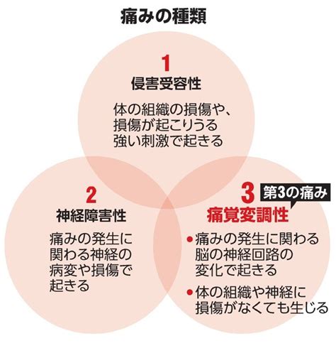 体・神経に傷ない「第3の痛み」、解明進む 「痛覚変調性疼痛」学会が命名：朝日新聞デジタル