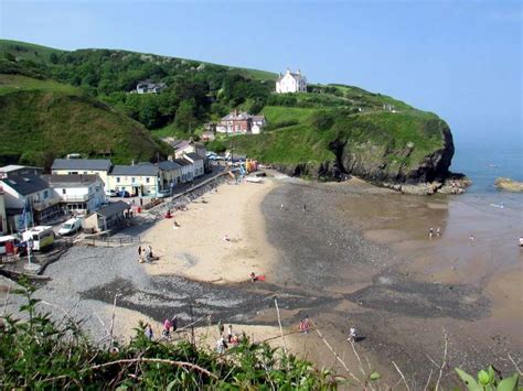llangrannog beach cardigan bay parking dogs facilities
