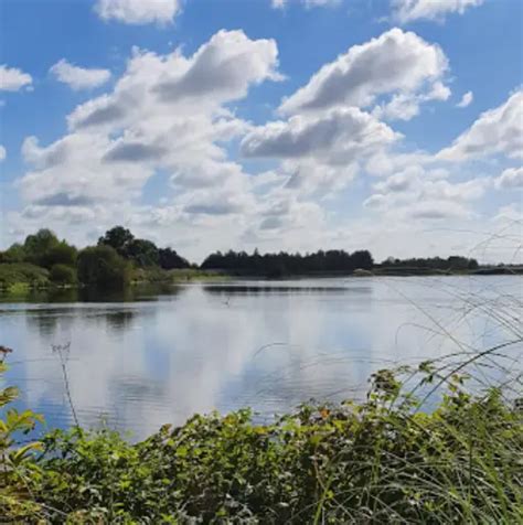 P Che Lac De Marotte Fishsurfing