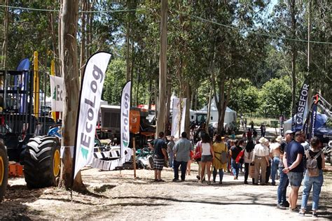 Gran Inter S De Los Profesionales Del Sector Forestal En Galiforest