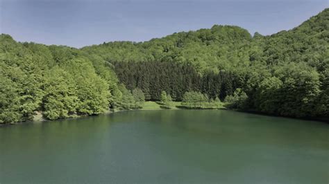 Not Porn Don T Tell Me Disturbed Ann Wilson Ann Angel