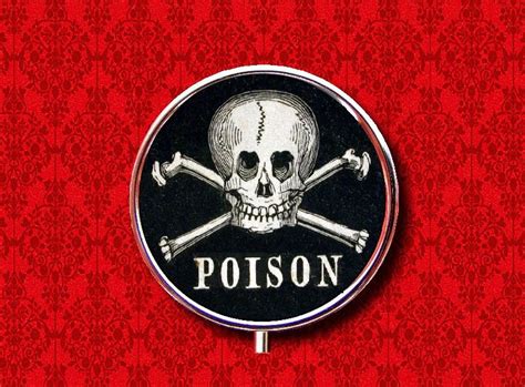 Poison Skull Crossbones Vintage Label Ring Trinket Stash Etsy