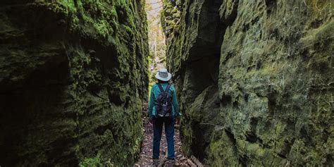 News Release 2021 Grant Call Greenbelt Foundation
