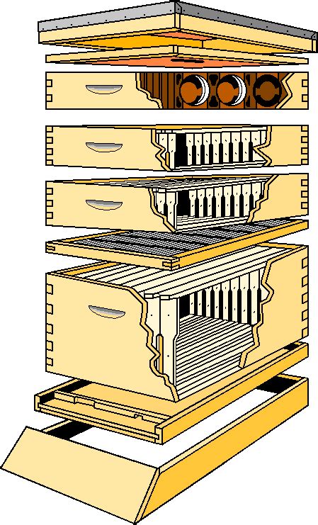 Beehive Diagram Talking With Bees