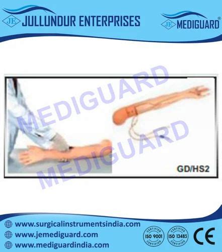 intermediate multi functional adult iv training arm model   delhi