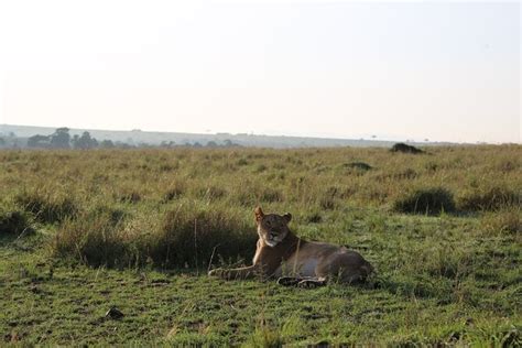 4 Best National Park Tours In Mombasa PT