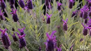 Ava Austen Model Page XVIDEOS