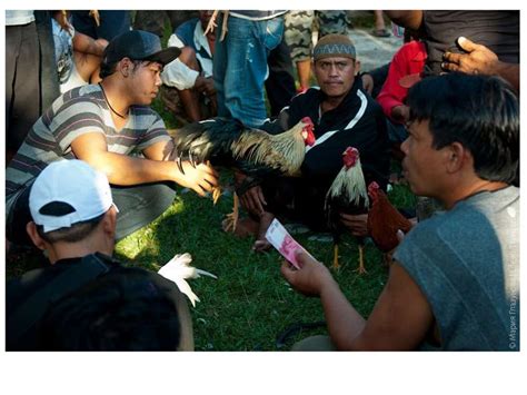 Культурная антропология - презентация онлайн