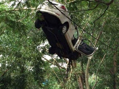 27 Funny Pictures Make You Say What Happened