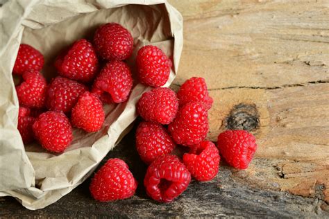 O que plantar na lua cheia veja as melhores opções desde legumes a