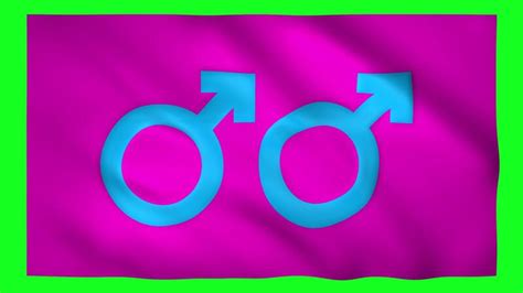Gay Y Masculino G Nero S Mbolo En El Bandera En Verde Pantalla Para Croma Llave V Deo