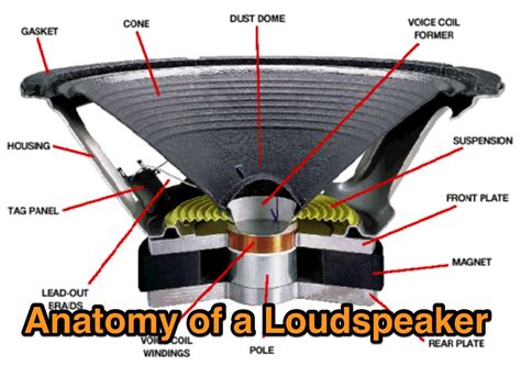 loudspeaker wiring diagram diagrams jbl  crossover schematic