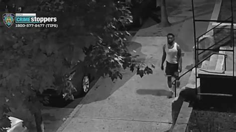 Bronx News Suspect Arrested For Sexual Assault Of Woman In Wakefield