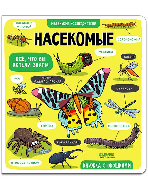 Книга с окошками Clever Издательство Маленькие исследователи. Насекомые ...