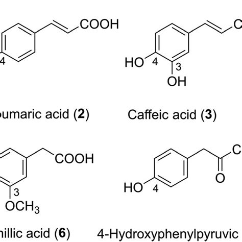 structure  hydroxycinnamic acid derivatives hca