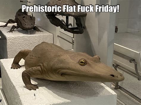 Prehistoric Flat Fuck Friday R