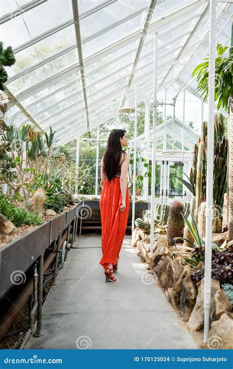 Beautiful Woman In A Greenhouse Stock Photo Image Of Fashion