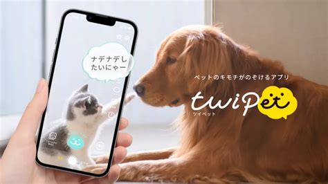 Want to communicate with your pets? This app uses AI to let you know ...