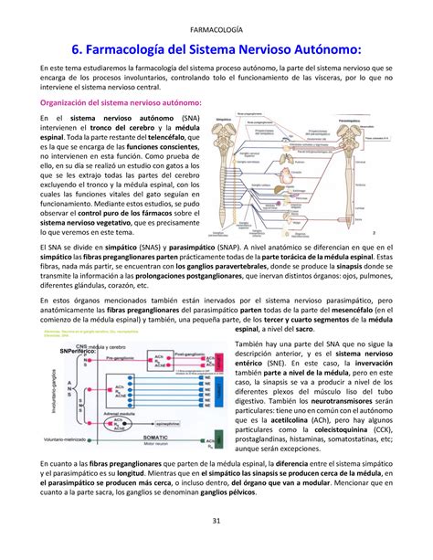 6 Farmacología del Sistema Nervioso Autónomo Warning TT undefined