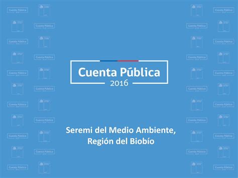 Pdf Seremi Del Medio Ambiente Regi N Del Biob Opublico Mma Gob Cl