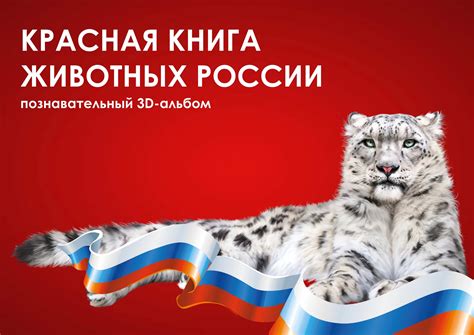 3D-Альбом "Красная книга животных России" – купить за 250 ₽ | Лэпбуки ...