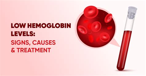 Hemoglobin Levels Imbalances Symptoms And Risk Factors 42 Off