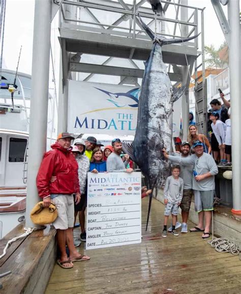 World Record Blue Marlin