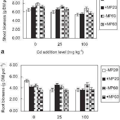 Shoot A And Root B Biomass Of Maize Plants In Experiment With