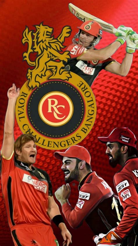 royal challengers bangalore wallpapers wallpaperscom