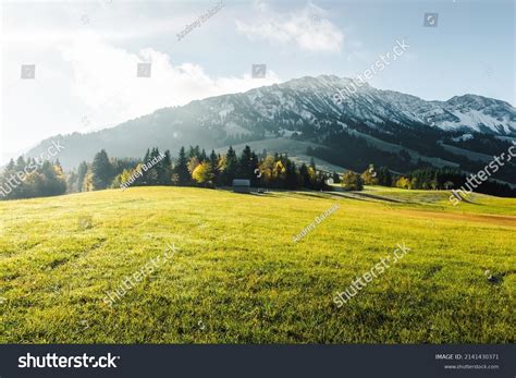 1,016 Montane grasslands Images, Stock Photos & Vectors | Shutterstock