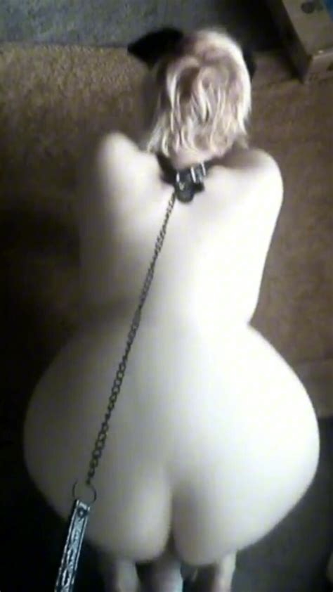 Chubby Pet Kitten Dildo Session ThisVid