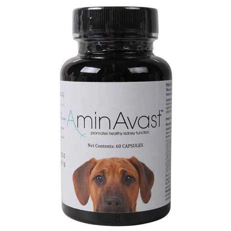 AminAvast for Dogs - Lambert Vet Supply | Dog, Cat, Horse, Kennel ...