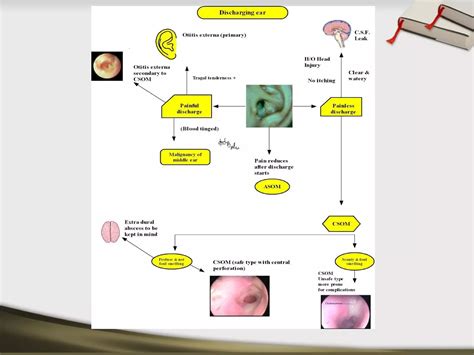 Clinical otology | PPT