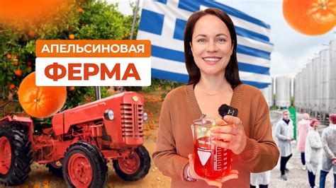 Как делают эфирное масло и сок из апельсинов? Гуляем по ферме в Греции ...