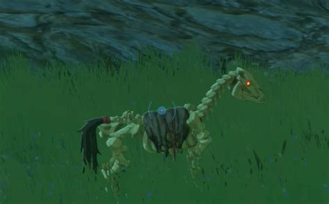 The Legend Of Zelda Tears Of The Kingdom How To Get The Skeletal Horse