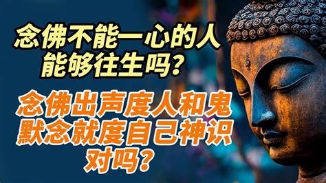 念佛出声度人和鬼，默念就度自己神识，对吗？念佛不能一心的人，能够往生吗？每天誦《金刚经》《普门品》各一遍是否要回向？念佛人還需要加其它佛的聖號