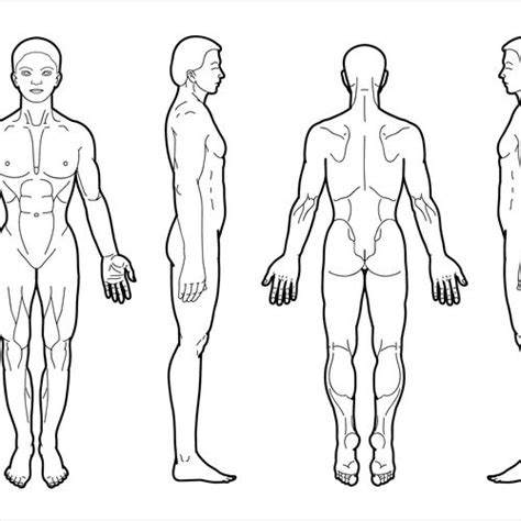 Runner Up Design By Creative Faves Body Diagram Human Body Diagram