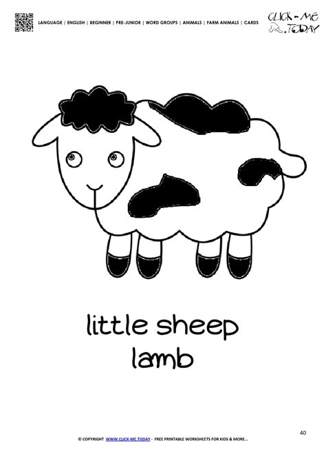 Farm Animal Flashcard Cute Sheep Lamb Printable Card Of Sheep
