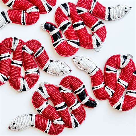 guide to snake losing weight at home 12