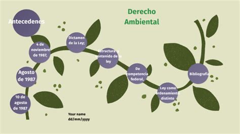 Linea De Tiempo Derecho Ambiental By Lorena Araceli Huerta Fernandez On