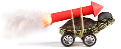 24 Accelerators and Power Boosters